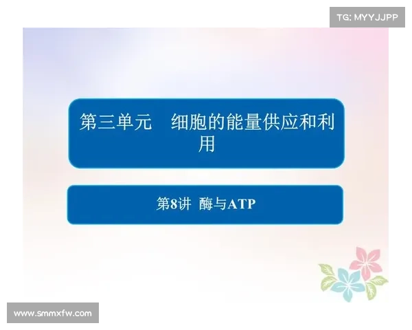 2019atp赛程表 2019atp赛程表