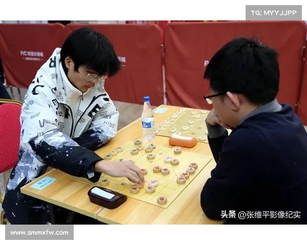 2017象棋有哪些赛事(中国象棋2017棋力评测)